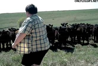 vacas,susto,baile,gordo,granja,bailar,movimientos