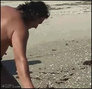 Tan merecido,Pescado,Tiburoncito,Tiburon,Mordisco,Fail,Ahi tienes tu recuerdo