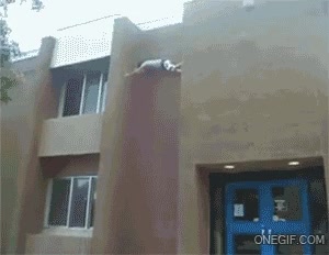 caida,por poco,subir,edificio,hacer,parkour,trepar,escalar