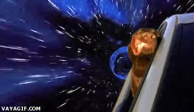 Perro,hiperespacio,Tierra,espacio,ventana,ventanilla,viento,soplar