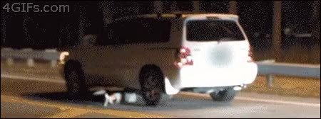 Con todos ustedes, la nueva moda estúpida y kamikaze de Internet sin morir seccionado,coche,debajo,parkour,peligroso