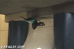 Ser tan bueno con el skate que tocar el techo no es un problema monopatin,truco,Skate,rampa,techo,tocar