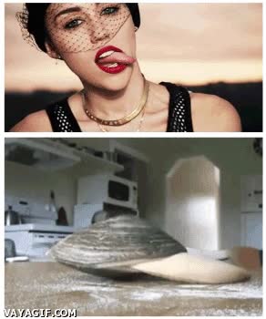 miley cirus,lapa,lengua,chupar,almeja,sal