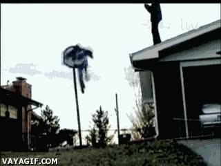 canasta,tejado,basket,balon,a la mierda