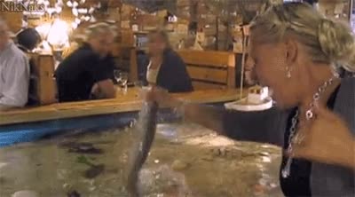 pescado,pez,saltar,restaurante,bar,comer,mordisco,pija