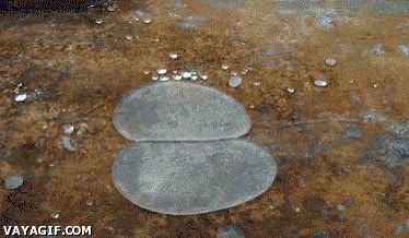 agua,hidrofobica,separarse,curioso,guante