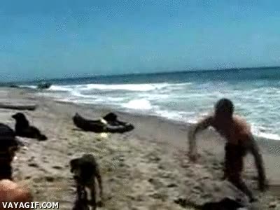 perro,salto,playa,humano,animal,mortal hacia atras,arena