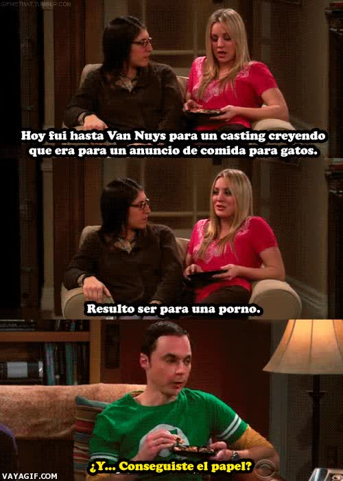 pelicula de adultos,Sheldon,Cooper,excelencia,papel,interpretacion,Troll,penny,amy