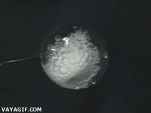 efervescente,gravedad cero,alka-seltzer,pastilla,agua