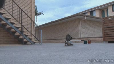 skate,patinar,gato,mejor,yo,skater cat,habilidad