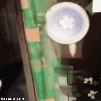 perro.recortes de personal,mostrador,atencion,comprar,akita,Jap&oacute;n