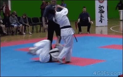 zas,karate,pelea,golpe,cara,ko