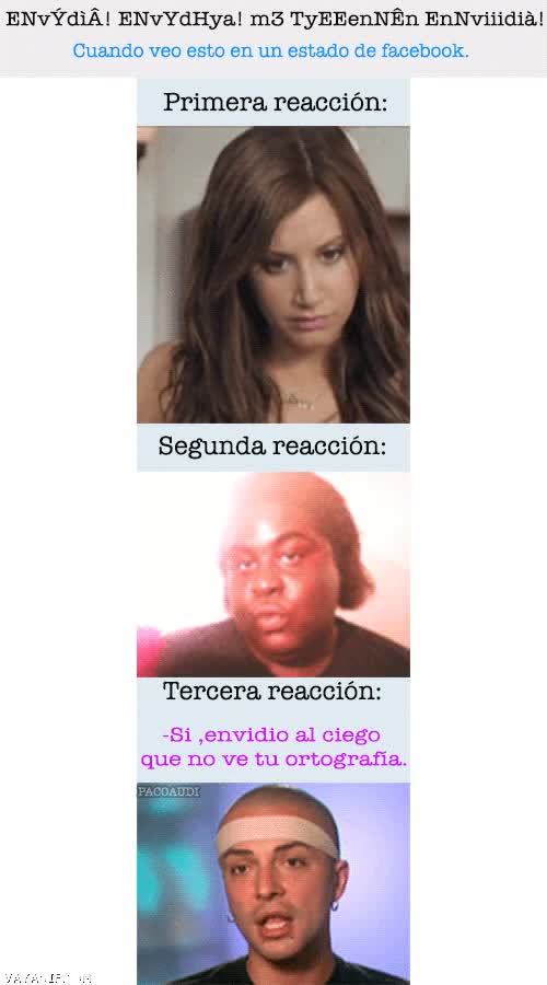 ignorantes,canis,facebook,ortografía,enfado
