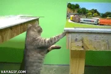 gato,electrico,mesa,tren,vagones,sardinas