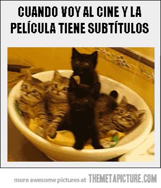 Y aprovechamos para ejercitar los músculos del cuello gatos,subtítulos,cine,película,ver