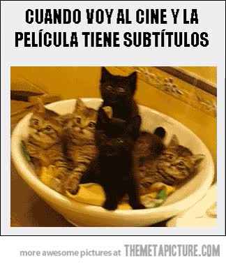 gatos,subtítulos,cine,película,ver