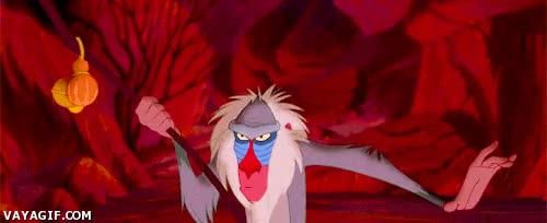 Si algo aprendí en El Rey León es que no debes meterte con un mandril cabreado el rey leon,pelea,rafiki,meterte,mandril,hienas,paliza,kung fu