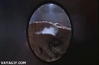 clases,selectividad,tarde,Dinosaurios,irresponsabilidad,Jurassic park,Universidad,ventana,velociraptor