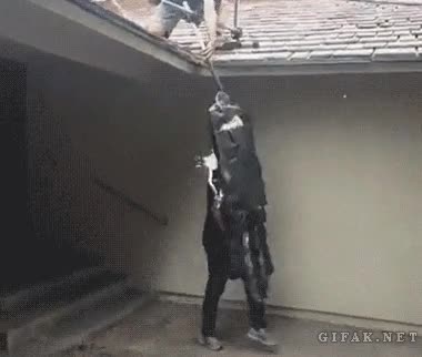 mecanismo,nata,en toda la cara,tarta,desde el techo,colchoneta,tartazo