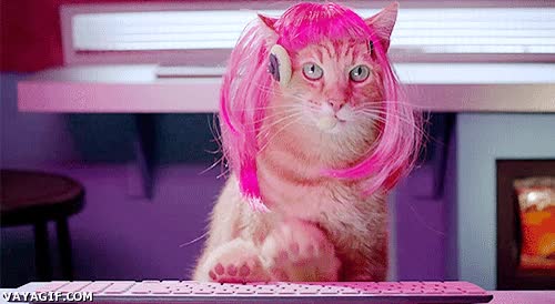 gato,telefonista,l&oacute;gica,llamada,se&ntilde;al,aun mas efectiva que las teleoperadoras humanas