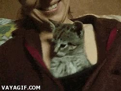 La ventaja de ser un gato es que te dejan dormir en los mejores sitios Gato,Despertar,Dormir,Placer,Pecho