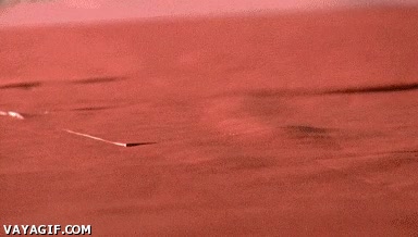 potencia,porsche 911,chorros de agua,cortar,corte