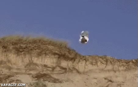 arena,tierra,backflip,caida,voltereta,mortal hacia atras,fail