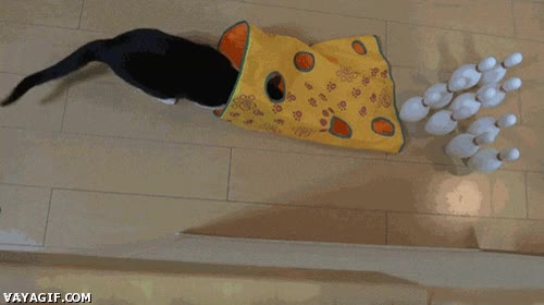 bolos,gato,bolsa,win,pleno,strike