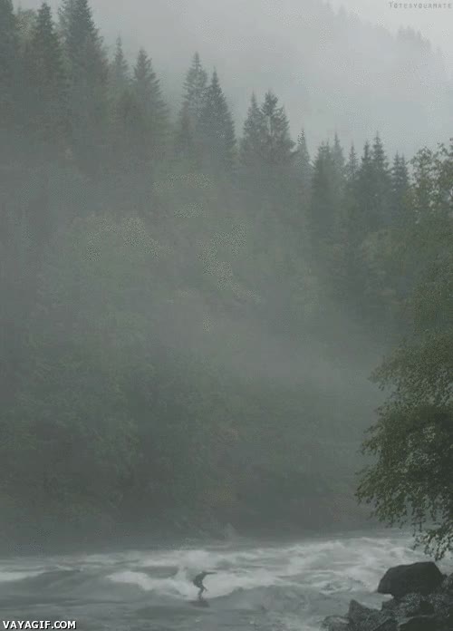 rio,surf,bosque,chulo,paisaje,surfear,rapidos,corrientes