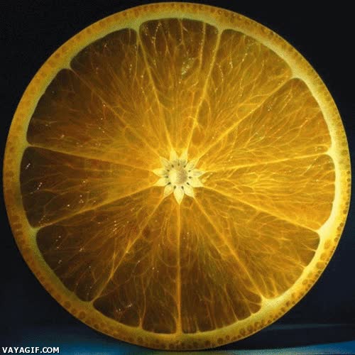 citricos,naranja,limon,lima,hipnotizante,rodaja,pomelo,roseton