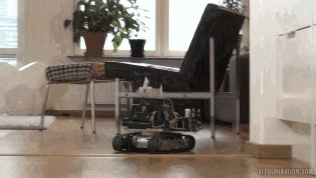 conducir,conquistar,máquina,tanque,gato,robot