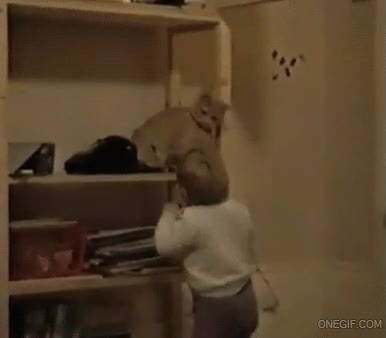 gato,empujar,zarpazo,ni&ntilde;o,bebe,mala leche,armario