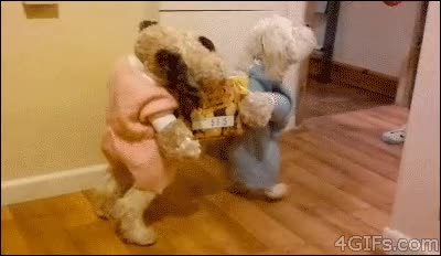 llevar,perro,disfraz,paquete,caja