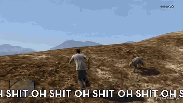 lince,montaña,GTA V,GTA,ataque,juego del año,sorpresa,desconocido,OH SHIT!