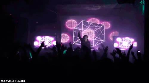 discoteca,concierto,skrillex,fiesta,festival,escenario,finde,fin de semana,euforia,expresion