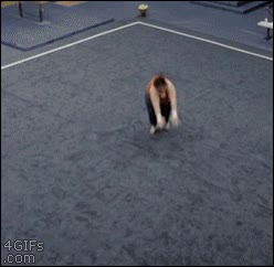 envidia,photoshop,gordo,gimnasia,saltos,suelo,pobres rodillas