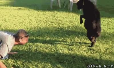 Cabrita,Cabezazo,Humano,Cabra,Jugar,Cabeza,Juego