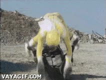 power,rangers,amarillo,ruedan,rodar,bicho bola,falso