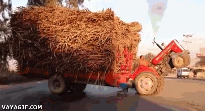 paseo,tractor,carga,maiz,wheelie,a dos ruedas,caballito,remolque