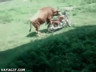 Enlace a Señor todo, es cierto que hay un agujero, pero creo que se equivoca