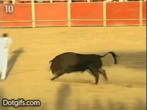 Da igual que estés a favor o en contra, pero hay que reconocer que este tío es un jefe toro,salto,vueltas,esquivar,volteretas,ruedo,saltar