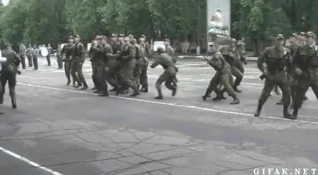 Celebrar,Militar,Ejercito,Soldados,Ca&iacute;da,&Aacute;rbol,Tronco