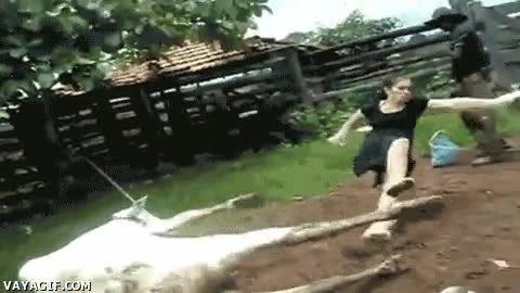 en el suelo,zas,vaca,mujer,rompe mandibulas musical,patada a la cara