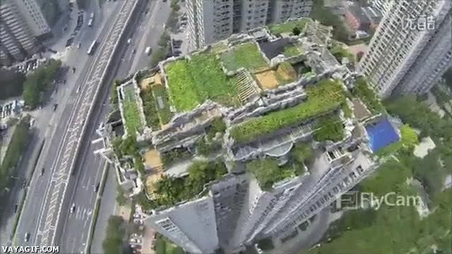 azotea,china,rascacielos,edificio,espectacular,jardin