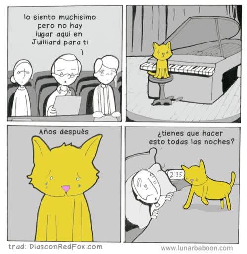 patitas,masajear,pianista,gato,piano,dormir,persona