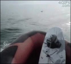 broma,empujar,mar,tiburon,aparecer,lancha,susto