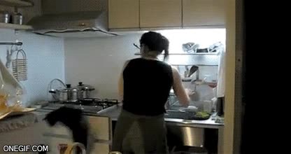 gato,salto,fail,espalda,cocina,saltar