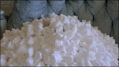 poliestireno,gato,lanzar,jugar,divertir,molestar,enterrar