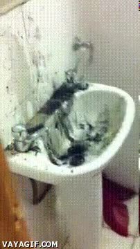 porqueria,botes,mierda,grifo,verde,asqueroso,pica,lavamanos,atasco,tuberias