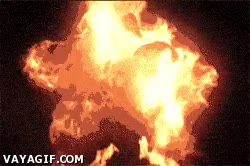 oso,malo,niña,animacion,osito,de peluche,fuego,infernal,demonio